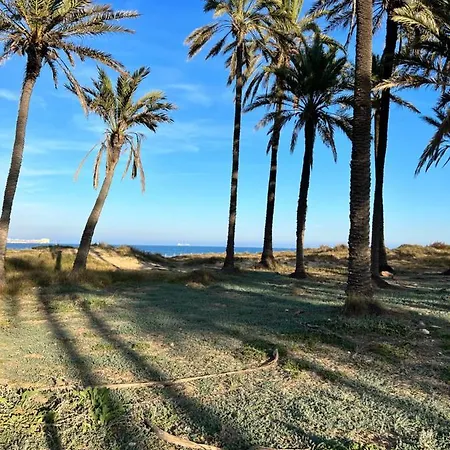 Apartamento Jumilla Iii Playa Flamenca *